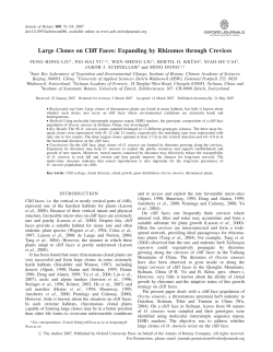 Large Clones on Cliff Faces: Expanding by