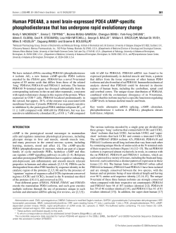 Human PDE4A8, a novel brain-expressed PDE4 cAMP