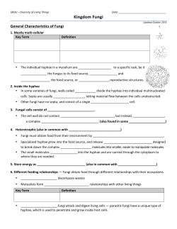 (null): SBI3U Diversity Kingdom Fungi Handout revised