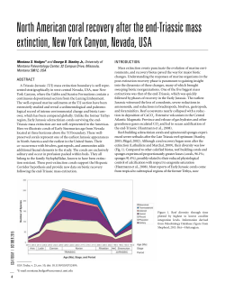 North American coral recovery after the end