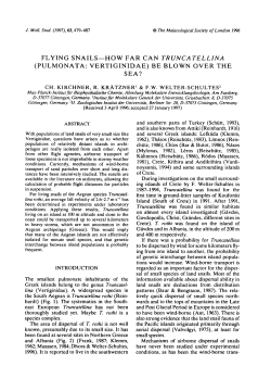 FLYING SNAILS&mdash;HOW FAR CAN TRUNCATELLINA (PULMONATA
