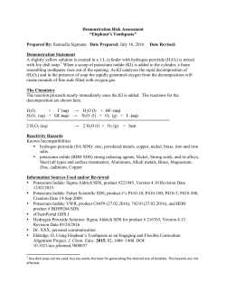 Sample Risk Assessment for the “Elephant`s Toothpaste”