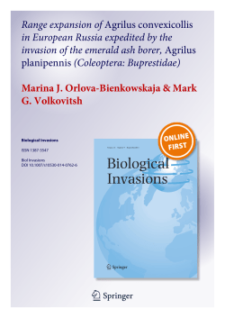 Range expansion of Agrilus convexicollis in European Russia