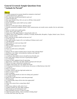 General Livestock Sample Questions from &ldquo;Animals In Pursuit&rdquo; Sheep
