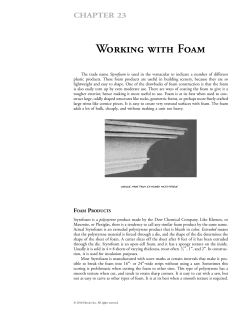 Working with Foam - routledgetextbooks.com