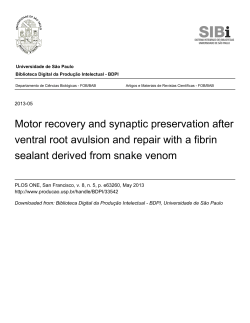 Motor recovery and synaptic preservation after ventral root avulsion