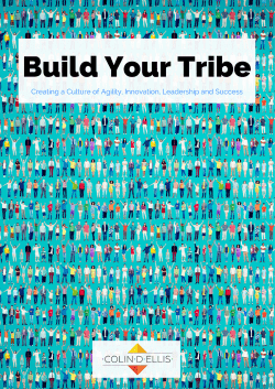 Build Your Tribe - Culture Evolution Program