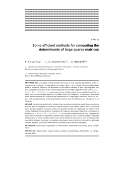 Some efficient methods for computing the determinants of large