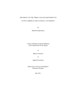 i THE IMPACT OF THE TRIBAL COLLEGE MOVEMENT ON NATIVE