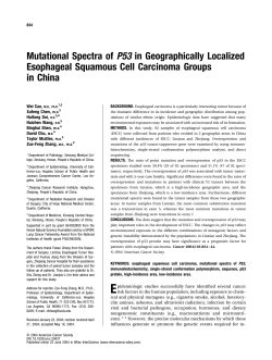 Mutational spectra of p53 in geographically localized esophageal