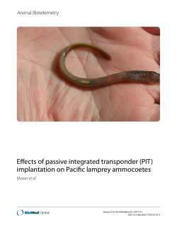PDF - Animal Biotelemetry