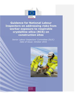 Guidance for National Labour Inspectors - EU-OSHA