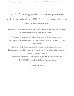 Na+/Ca2+ exchangers and Orai channels jointly refill