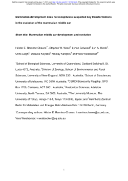 Mammalian development does not recapitulate suspected