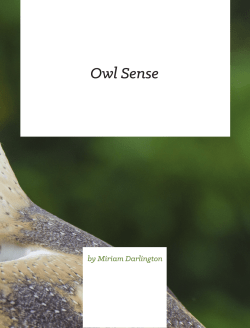 Owl Sense - University of Exeter Blogs