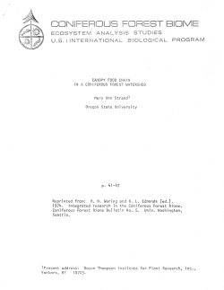coniferous forest biome - HJ Andrews Experimental Forest