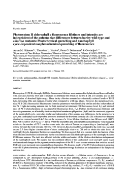 Photosystem II chlorophyll a fluorescence lifetimes and intensity are