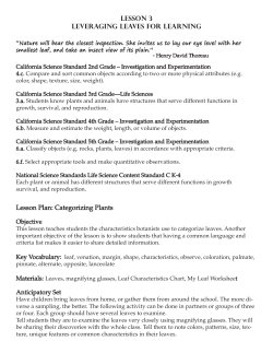 Lesson 3 Leveraging Leaves for Learning