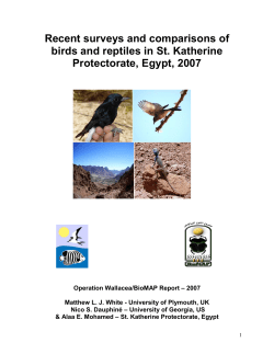 Recent surveys and comparisons of birds and reptiles in