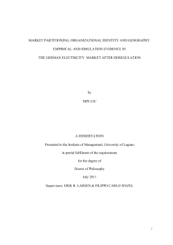 market partitioning, organizational identity and