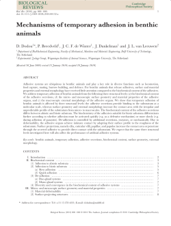 Mechanisms of temporary adhesion in benthic animals