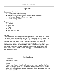 Patrol Time Knotting Big Beetle Equipment: Each beetle needs: &bull; 8