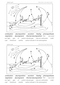 Carbon cycle - William`s Words in Science