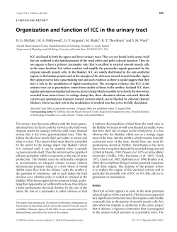 Organization and function of ICC in the urinary tract