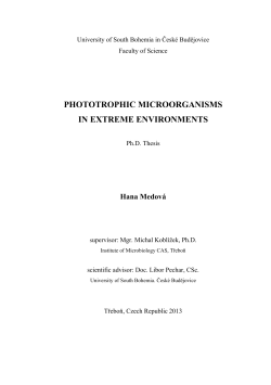 phototrophic microorganisms in extreme environments