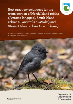 Robins  - Department of Conservation