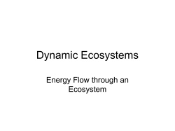energy - VCE-Unit1and2Biology