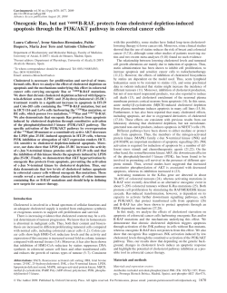 Oncogenic Ras, but not V600EB-RAF, protects from cholesterol