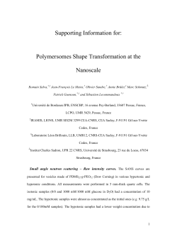 Polymersomes Shape Transformation at the Nanoscale