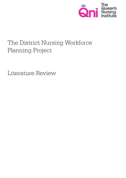 The District Nursing Workforce Planning Project Literature Review