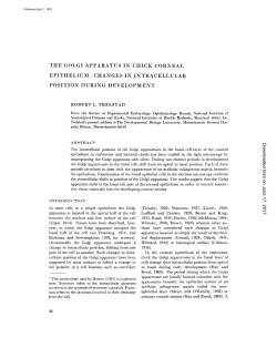 the golgi apparatus in chick corneal epithelium : changes in