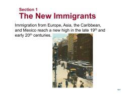The New Immigrants - Anderson School District One