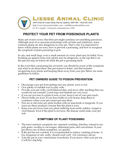 protect your pet from poisonous plants
