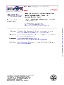 Immunoglobulin Genes Bias of Mutations of A versus T in