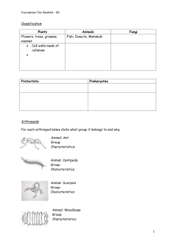Foundation Tier Booklet
