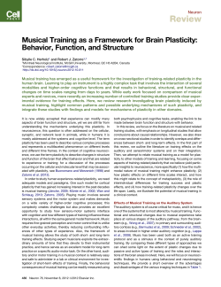 Musical Training as a Framework for Brain Plasticity