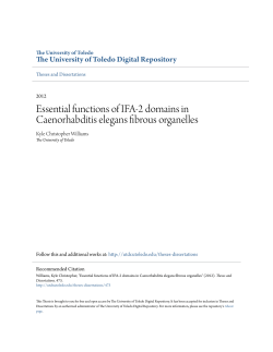 Essential functions of IFA-2 domains in Caenorhabditis elegans
