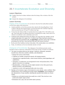 26.1 Invertebrate Evolution and Diversity