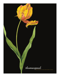 melamine collections