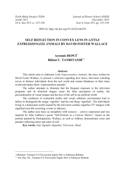 SELF REFLECTION IN CONVEX LENS IN LITTLE