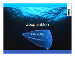 Introduction to Zooplankton Ecology