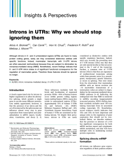 Introns in UTRs: Why we should stop ignoring them