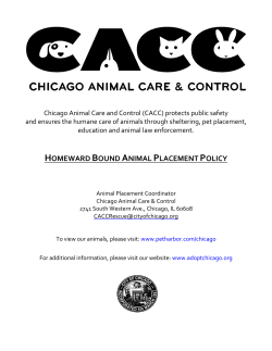HOMEWARD BOUND ANIMAL PLACEMENT POLICY