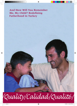 Redefining fatherhood in Turkey