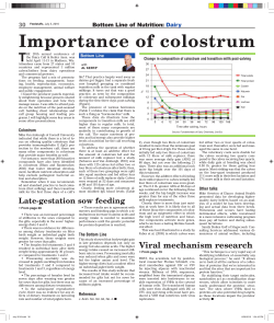 Importance of colostrum