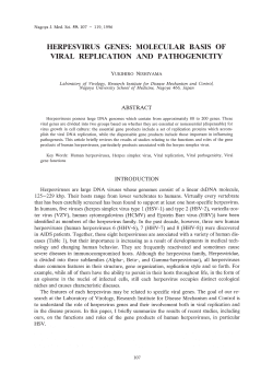 herpesvirus genes: molecular basis of viral replication and